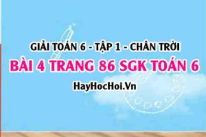 Giải bài 4 trang 86 Toán 6 Tập 1 SGK Chân trời sáng tạo